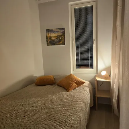 In The Center Of Rovaniemi