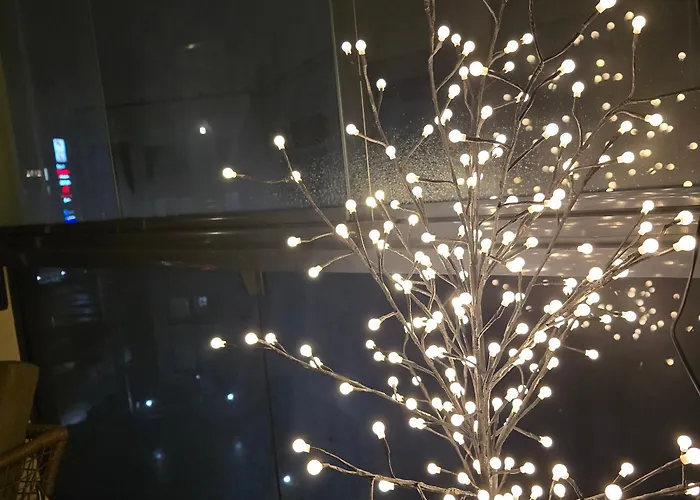 In The Center Of דירה רובניימי